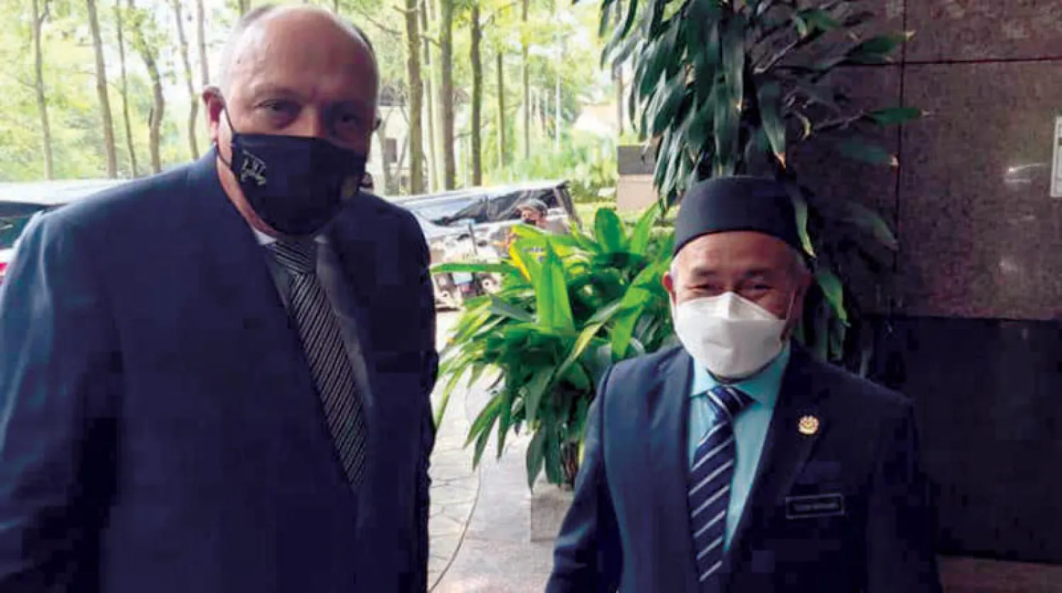 شكري خلال لقائه وزير البيئة والمياه الماليزي (وزارة الخارجية المصرية)