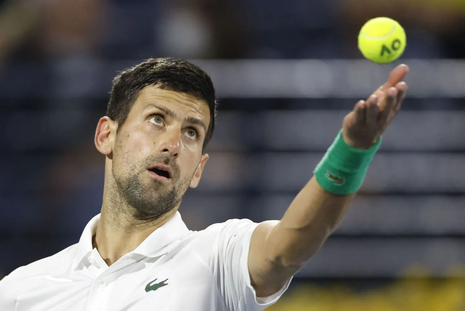Novak Djokovic. (Reuters)