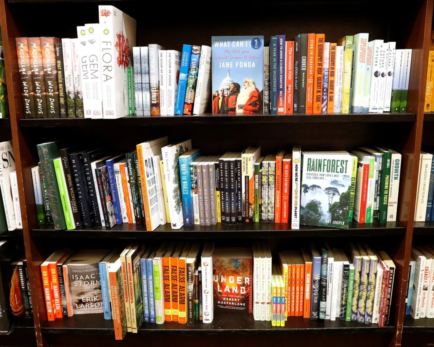 Climate change themed books are displayed together on shelves at a Barnes & Noble book store in Brooklyn, New York, US, March 2, 2021. REUTERS/Brendan McDermid