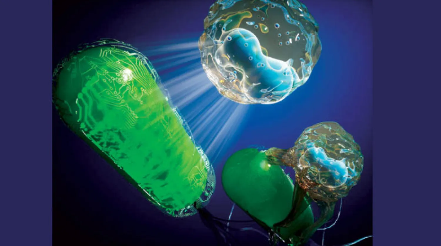 «طاقية إخفاء» للبكتيريا لتوصيل الأدوية للأورام