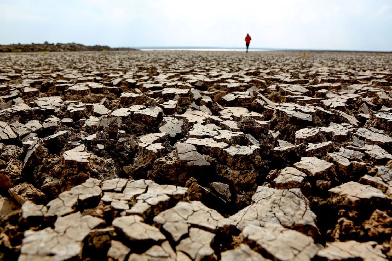 A person walks along cracks at the partly dried up Devegecidi Dam, northwest of drought-stricken Diyarbakir, Turkey October 29, 2021. REUTERS/Sertac Kayar.