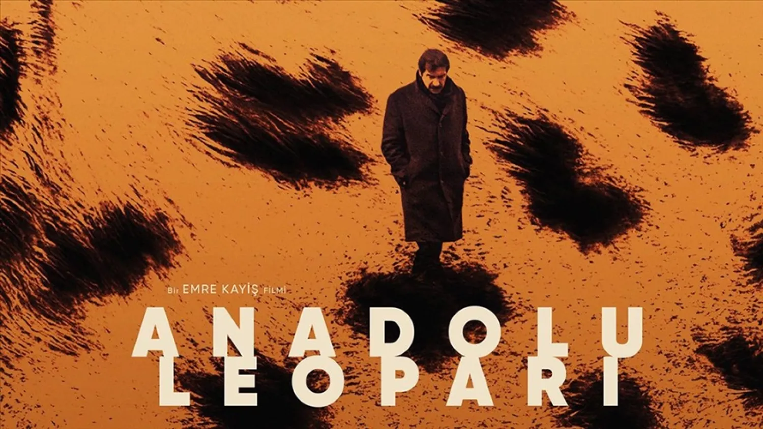 Bu hafta 9 film vizyona girecek: Anadolu Leoparı izleyiciyle buluşacak
