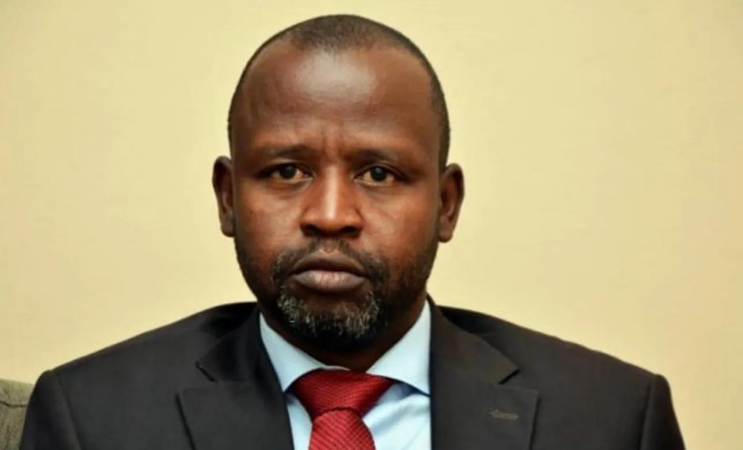 Member of Transitional Sovereign Council Al-Hadi Idris. (SUNA)