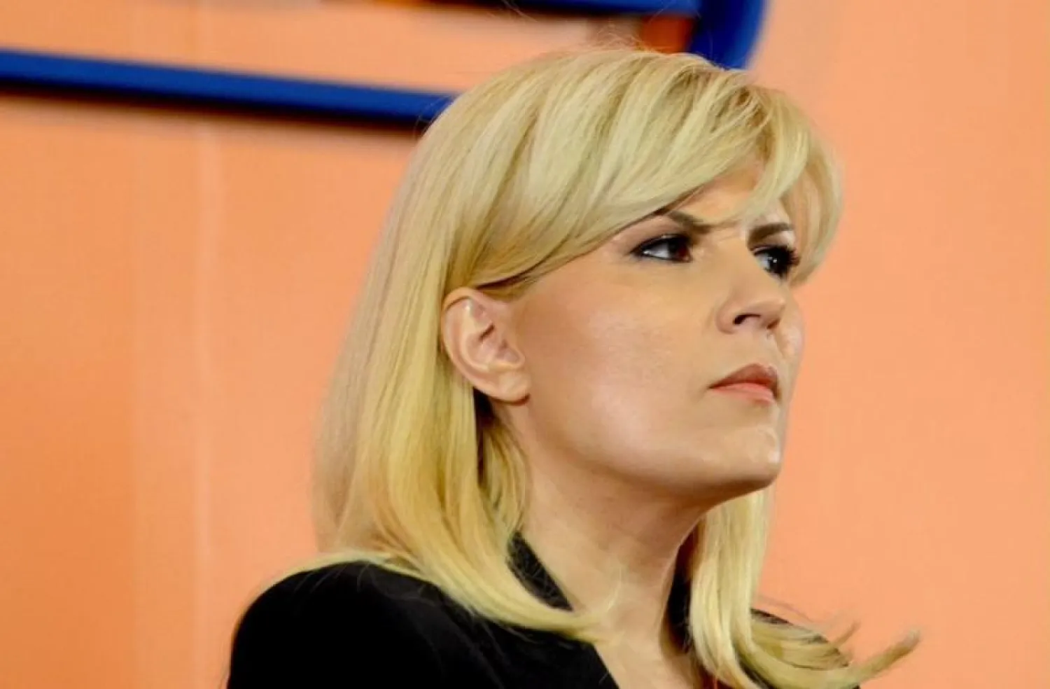 وزيرة السياحة الرومانية السابقة إيلينا أودريا (أرشيفية)