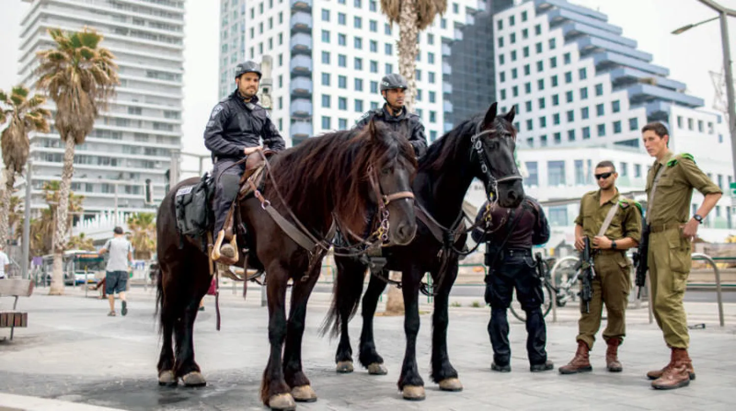 الشرطة الإسرائيلية تكثف وجودها أمس في تل أبيب بعد حادث القتل في المدينة الخميس (د.ب.أ)
