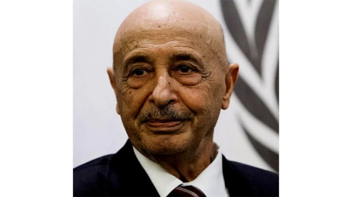 المستشار عقيلة صالح (المكتب الإعلامي لرئيس المجلس)