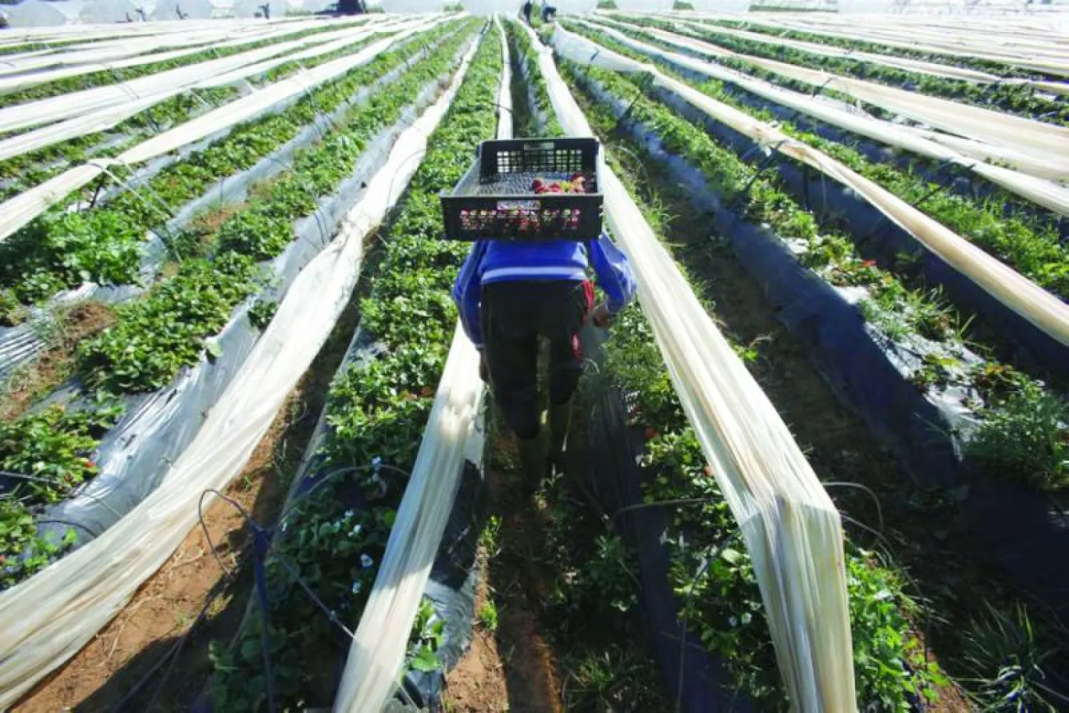 وقَّع المغرب وصندوق «أوبك» للتنمية الدولية على اتفاق قرض بقيمة 100 مليون دولار (رويترز)