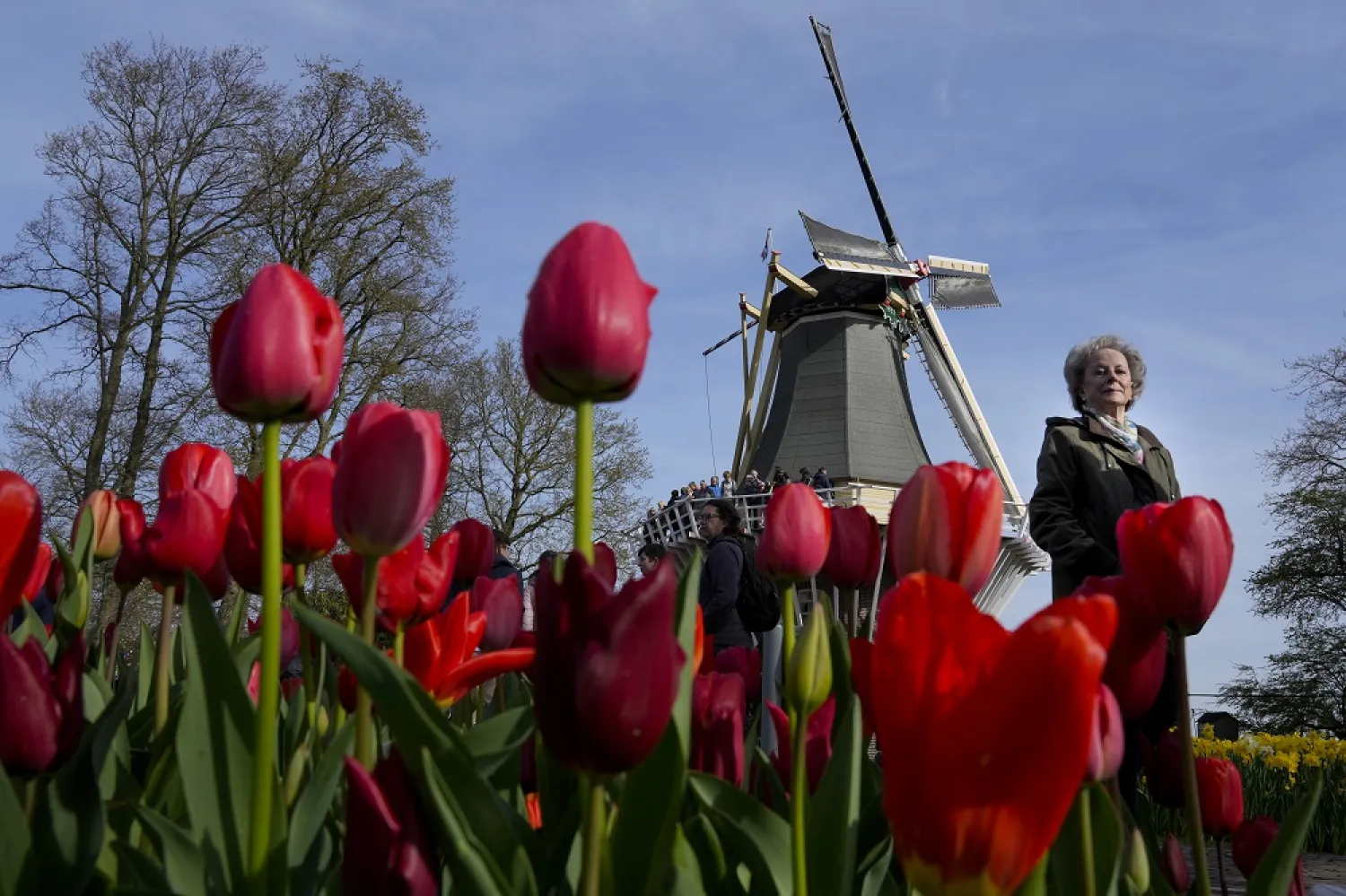  Visitors pass tulips at the world-renowned Dutch flower garden Keukenhof, in Lisse, Netherlands, Tuesday, April 12, 2022. (AP) 