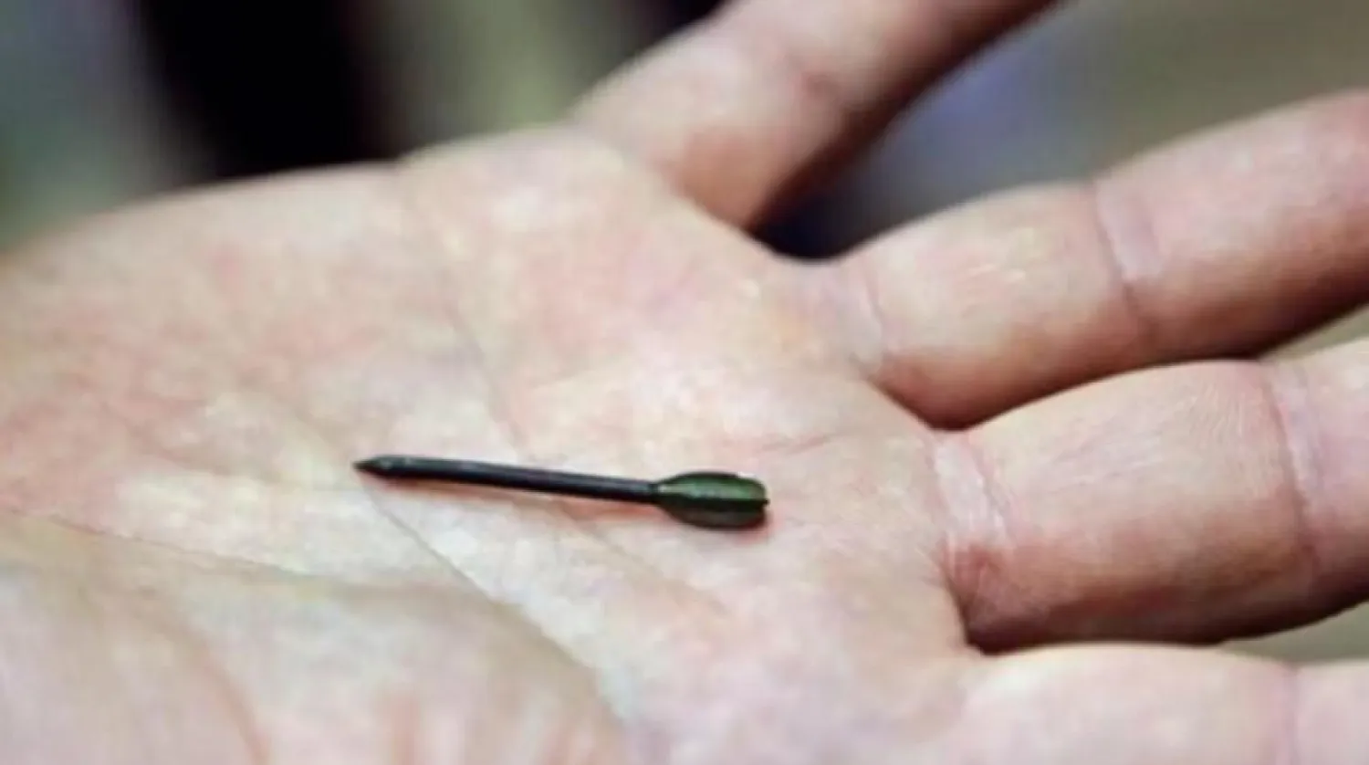 Flechette kurşunları (AP)