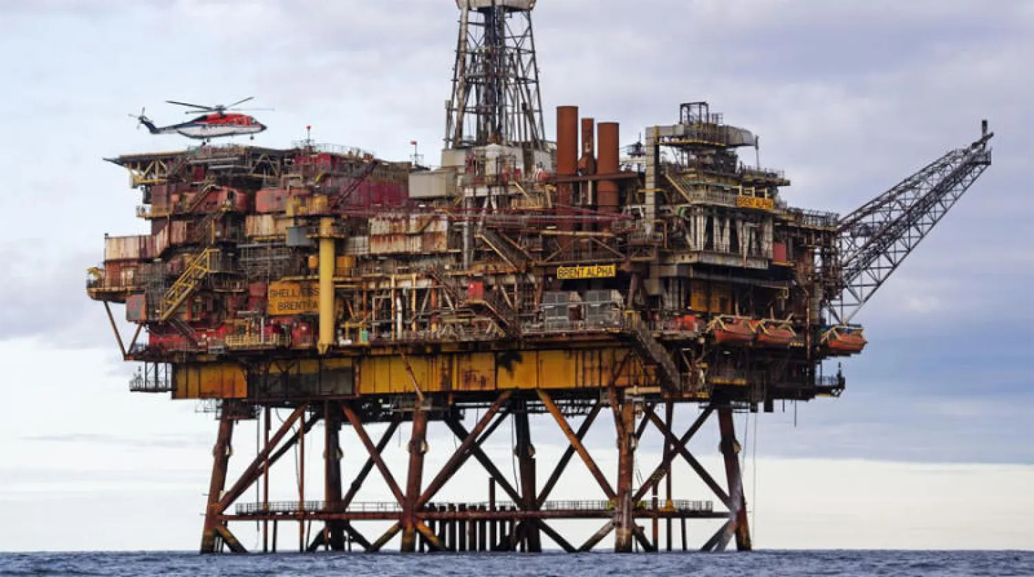 العثور على قط مفقود منذ 5 سنوات داخل منصة نفطية