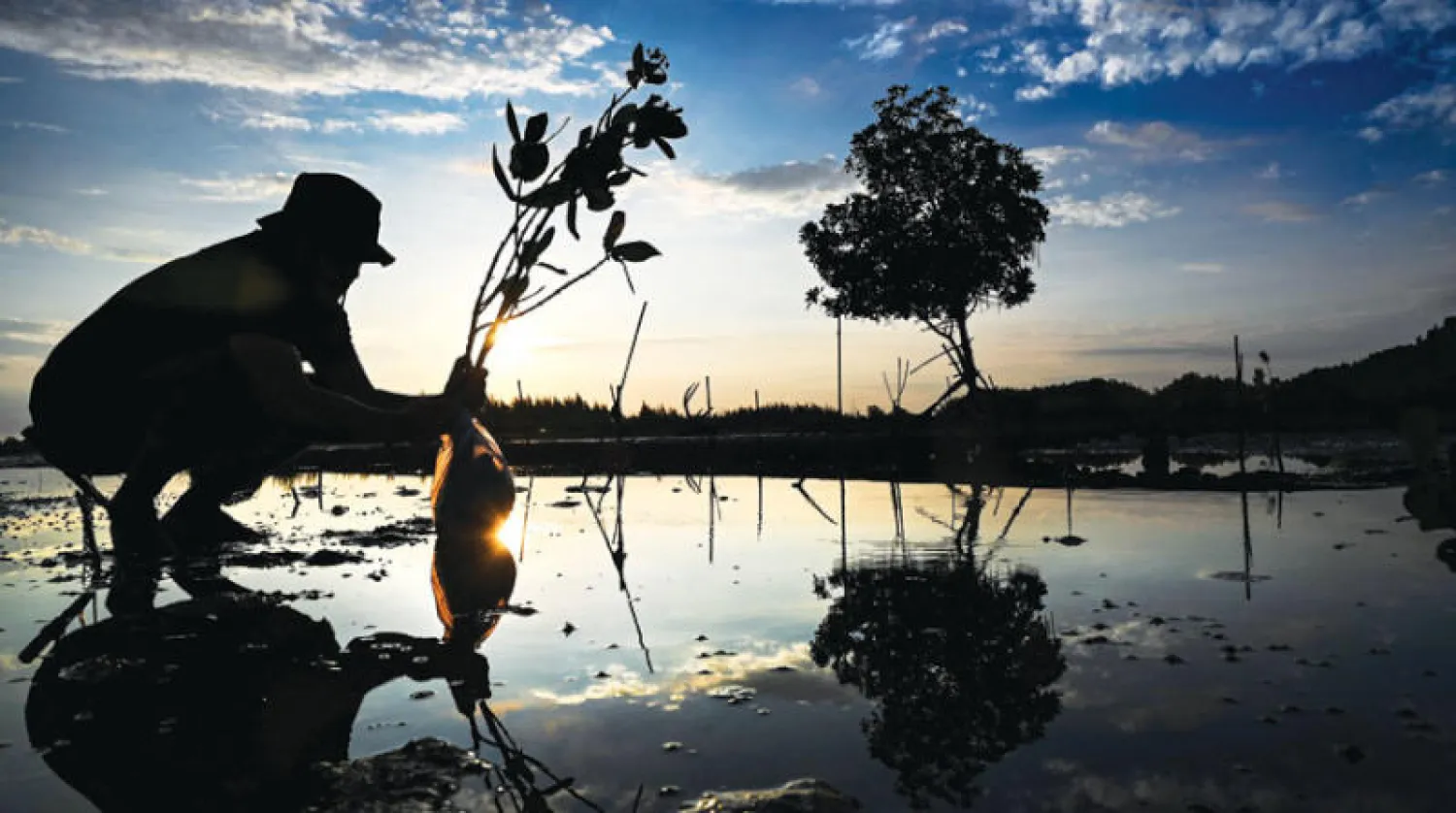 كيف تساهم عدالة توزيع الطاقة في حماية المناخ والحدّ من الفقر؟