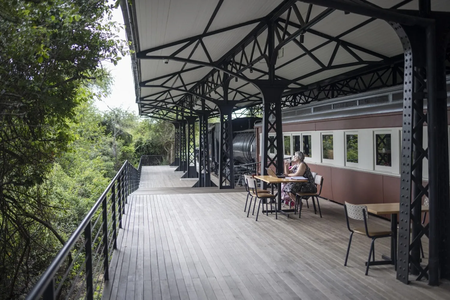 At the Kruger Shalati - known as the Train on the Bridge - guests gaze over the animals kingdom, from the golden sunrise until the Milky Way spills across the nighttime sky. (AFP)