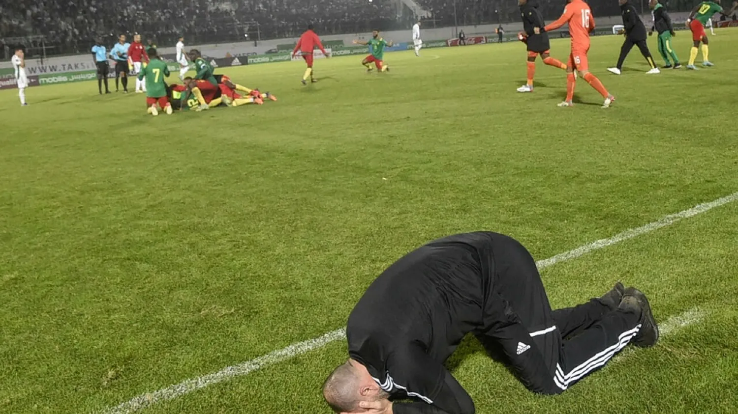 Down and out: Algeria's coach Djamel Belmadi reacts after Cameroon's late winner. (AFP)