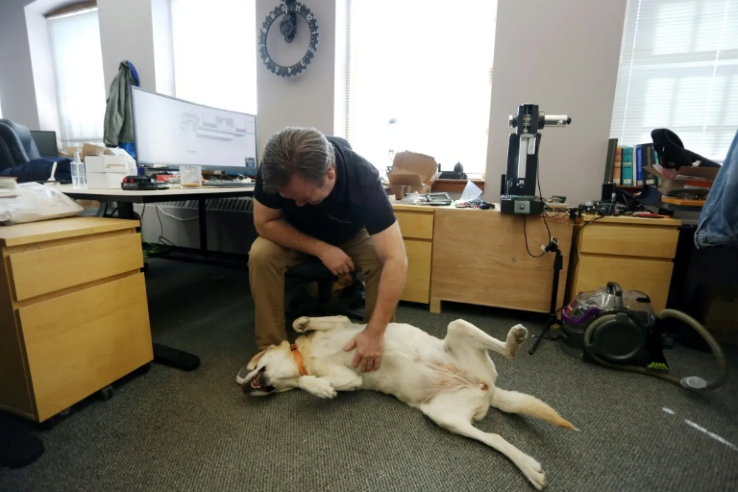 Dave McMullen gives his dog Daisy a belly rub at Tungsten Collaborative in Ottawa Dave Chan AFP
