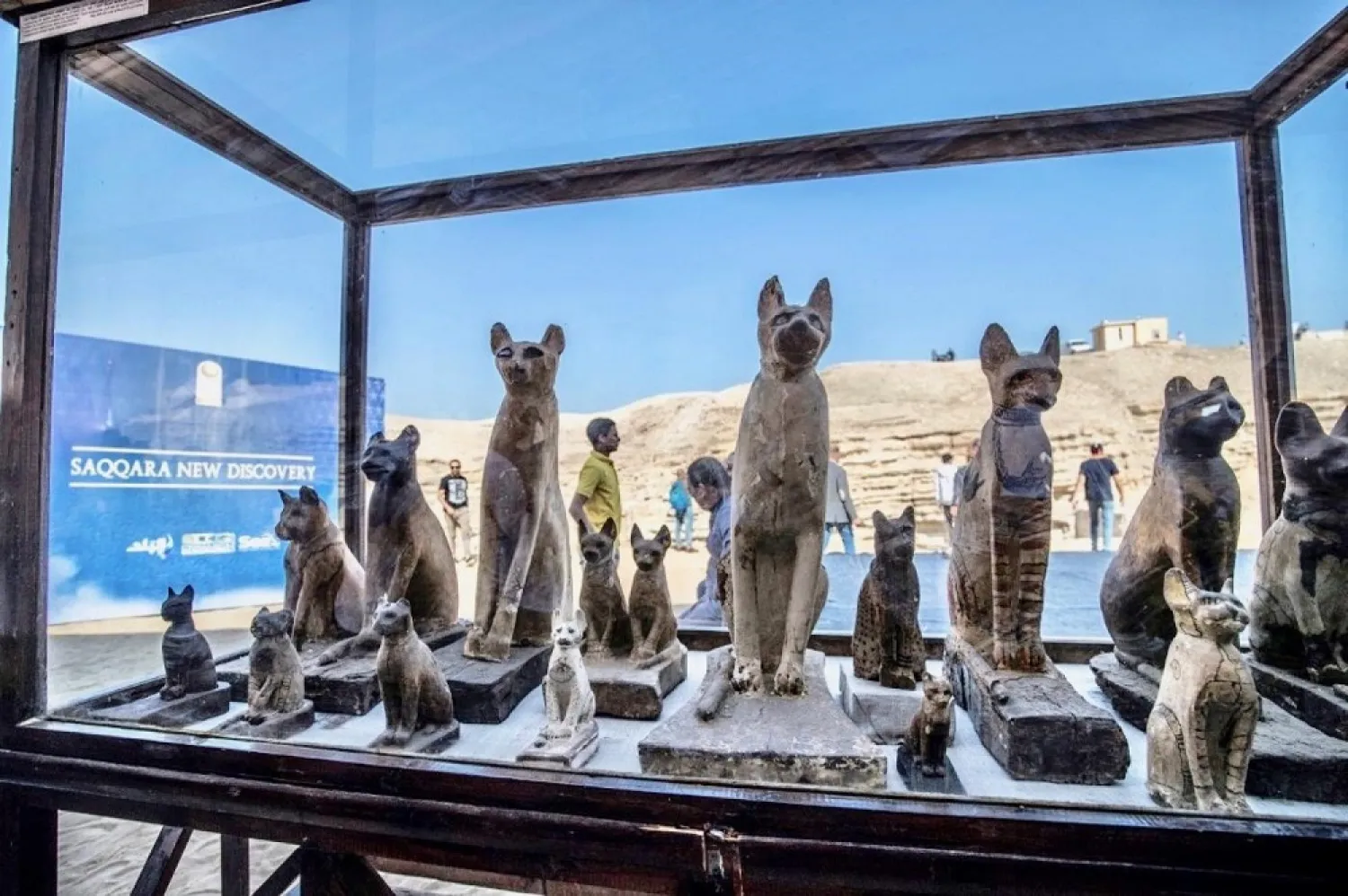 Statues of cats discovered by Egyptian archaeological team in Giza's Saqqara necropolis, south of Cairo, are displayed. (AFP)