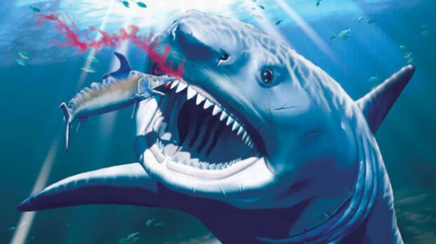 Dişlerinde bir soruna neden olan bir elektrik balığı yiyen bir megalodon köpekbalığının tasviri