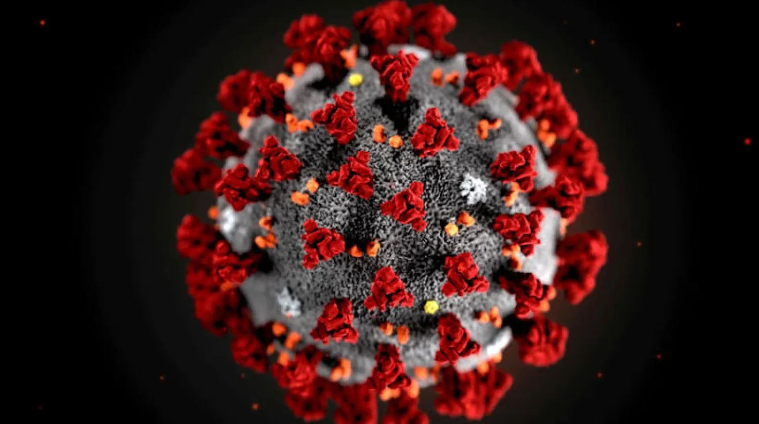 تحذير من مخاطر تجلط الدم الناجم عن «كوفيد ـ 19»