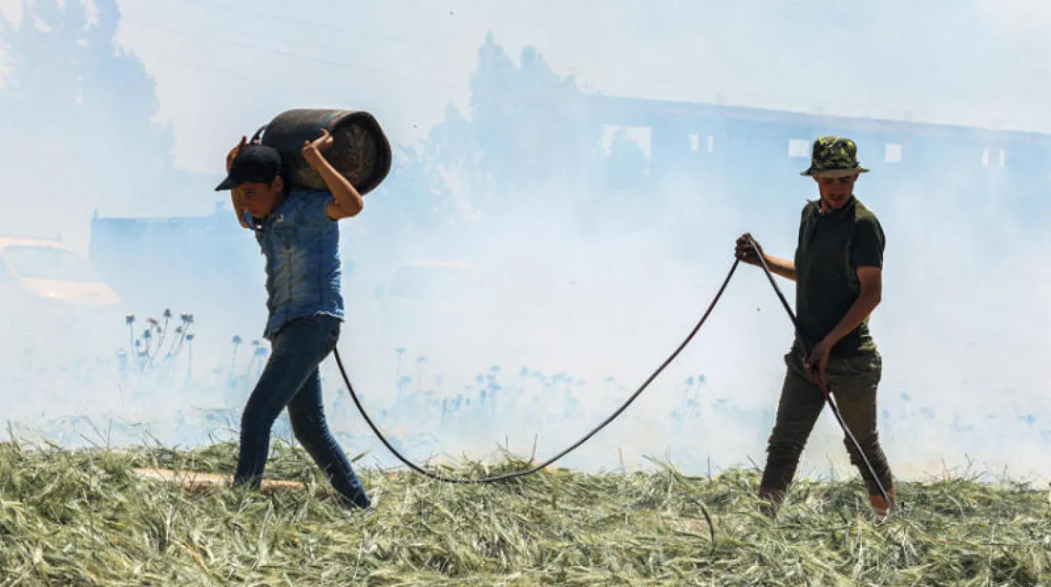 حقل لزراعة القمح في إدلب شمال غربي سوريا (أ.ف.ب)