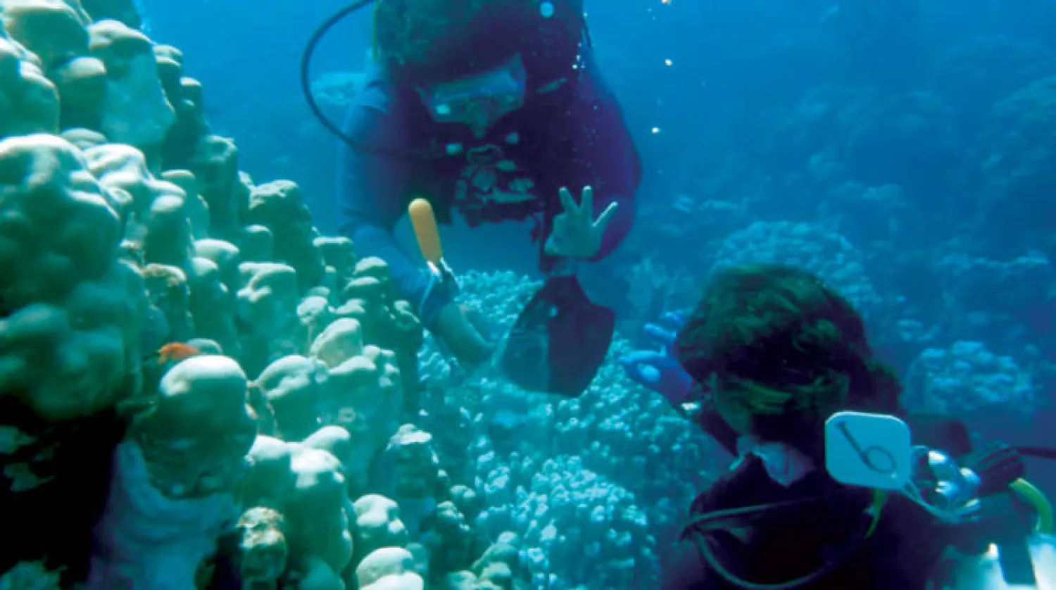 غواصون يستكشاف بعض أعماق البحر الأحمر