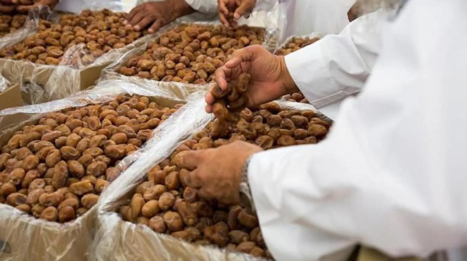 The value of the palm and date sector in Saudi Arabia amounted to about $2 billion. (SPA) 