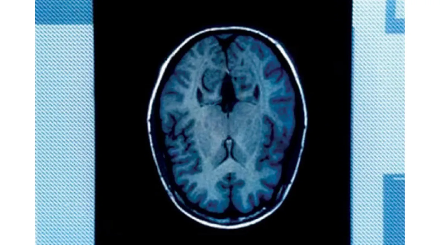 مخك يتحدث في السياسة (رويترز)