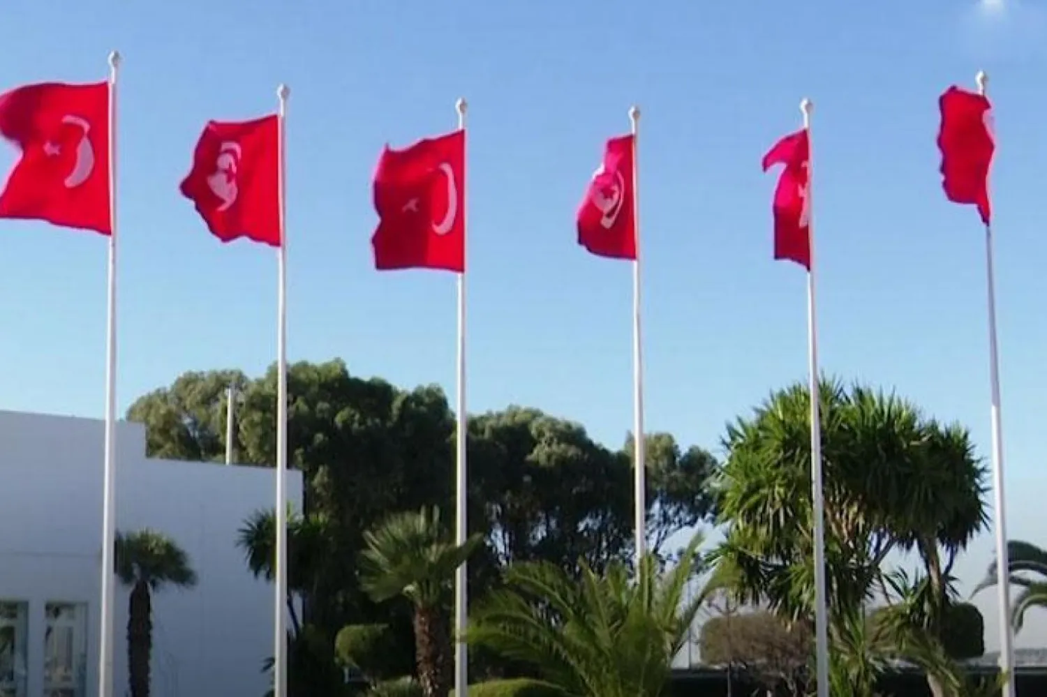 Fotoğraf: Şarku'l Avsat

