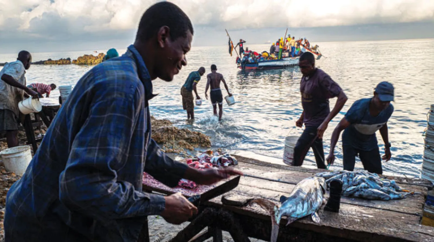 تجهيز السمك على شاطئ البحر في جزيرة زنجبار (الصور من تصوير الفنان أشرف طلعت)