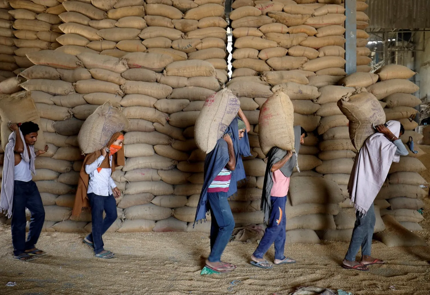 Workers carry sacks of wheat for sifting at a grain mill on the outskirts of Ahmedabad, India, May 16, 2022. (Reuters)
