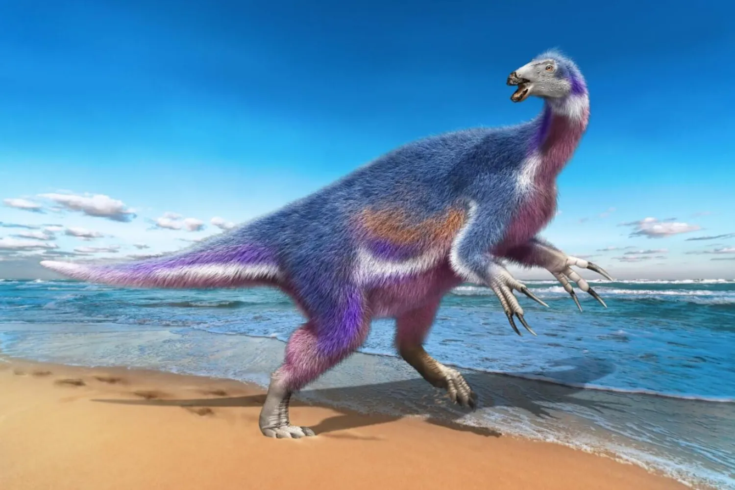 Uzmanlar dinozorun pençelerini diğer hayvanlara saldırmak yerine yemek aramak için kullandığını söyledi (Masato Hattori)