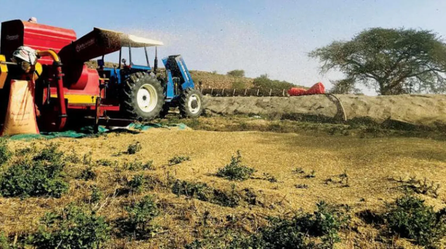 Arab countries could face a food shortage crisis if they do not address the existing challenges. (Asharq Al-Awsat)
