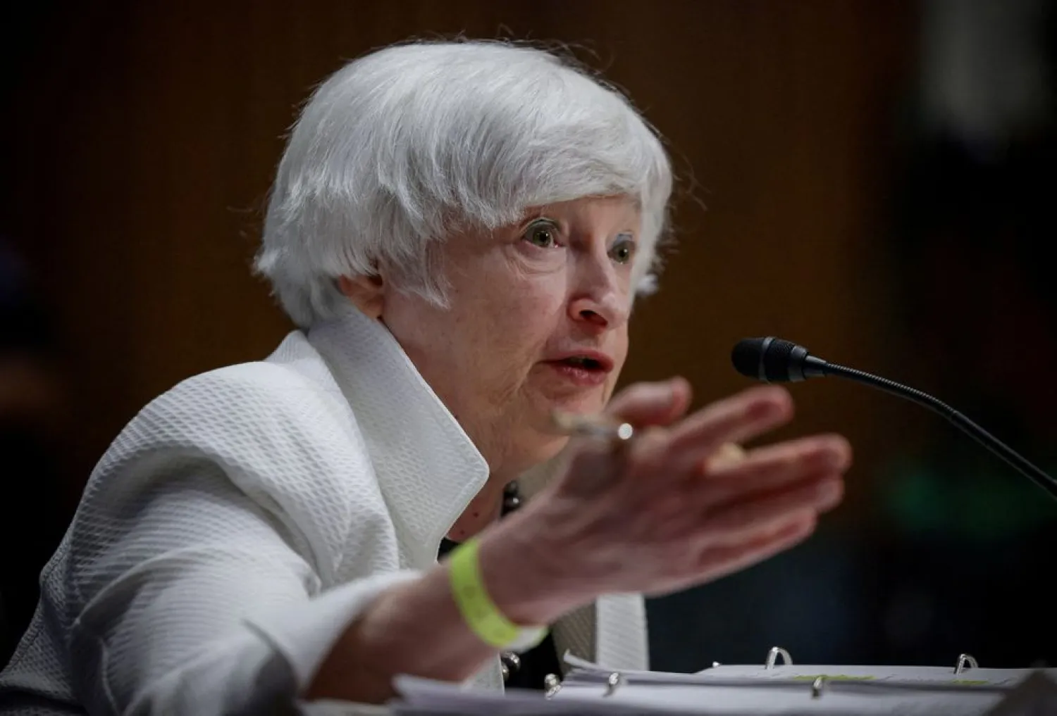 US Treasury Secretary Janet Yellen testifies before a Senate Finance Committee hearing on President Biden's 2023 budget, on Capitol Hill in Washington, US, June 7, 2022. REUTERS/Evelyn Hockstein/File Photo

