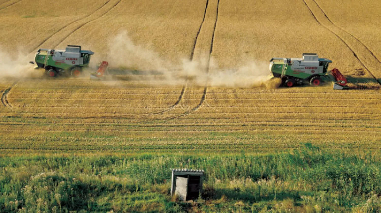 أوكرانيا من أهم منتجي السلع الزراعية في العالم. وروسيا ثاني أكبر مصدِّر للقمح (رويترز)
