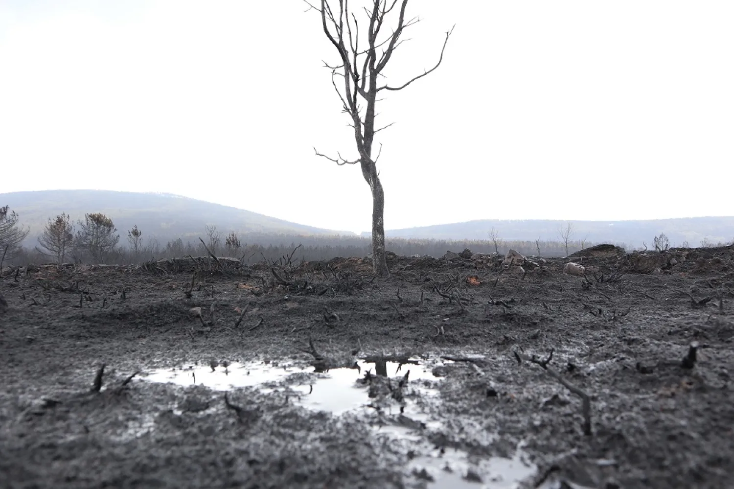 Aftermath of the Sierra de la Culebra wildfire in Otero de Bodas, Zamora province, Spain, 20 June 2022. (EPA)