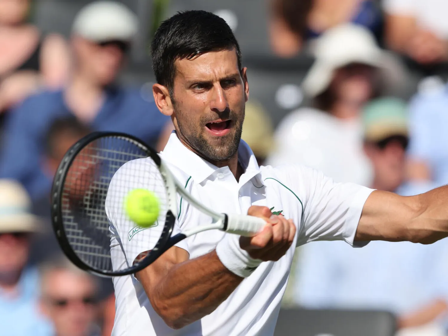 Wimbledon will be defending champion Novak Djokovic's last Slam of 2022 due to his refusal to get vaccinated Adrian DENNIS AFP/File
