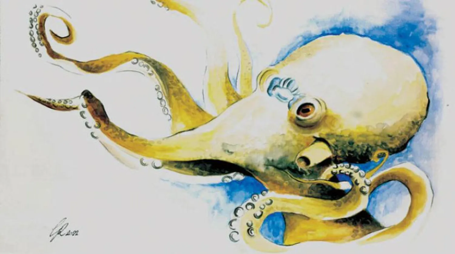 Araştırma ekibinin çalışması, aynı transpozonun hem insan beyninde hem de sıradan ahtapotun ve iki noktalı ahtapotun beyninde aktif olduğunu gösteriyor. (Araştırma Ekibi)