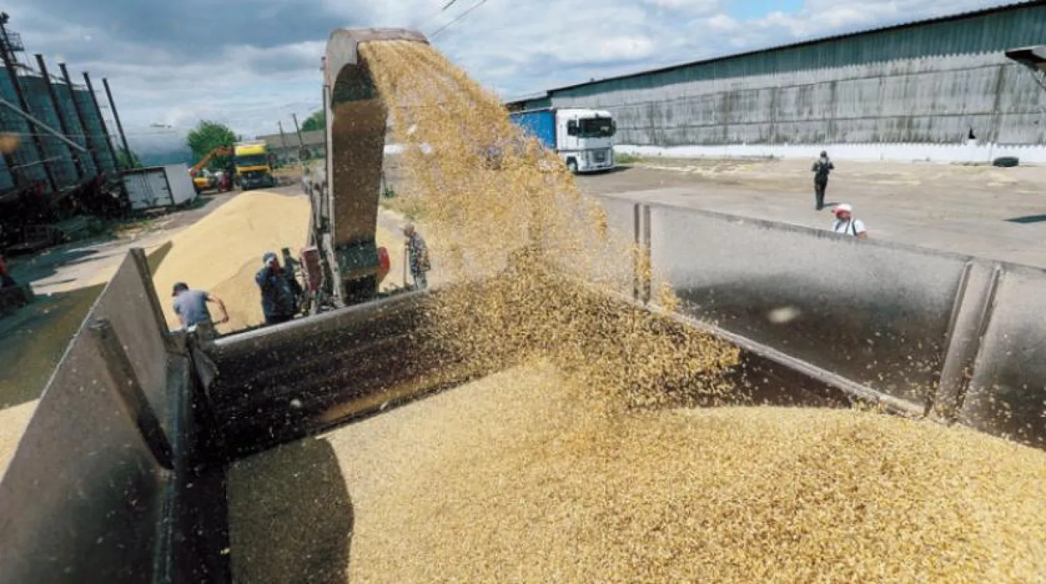 The new project links wheat imports to direct assistance to the poor and vulnerable population through Egypt’s Bread Subsidy Program. (EPA)