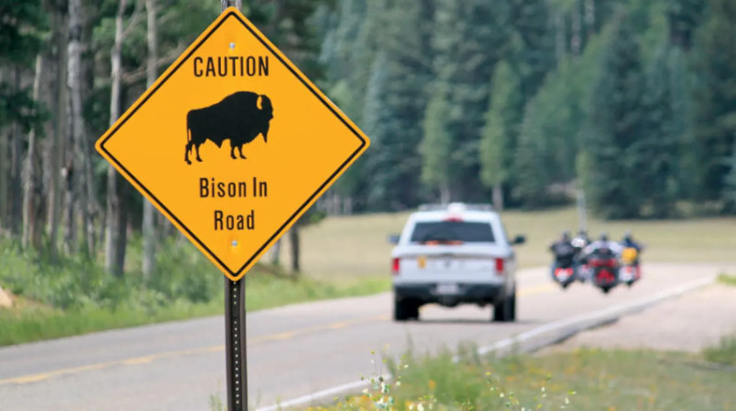 علامة تحذر من الـ«بيسون» داخل حديقة «غراند كانيون الوطنية» في شمال أريزونا (أ.ب)