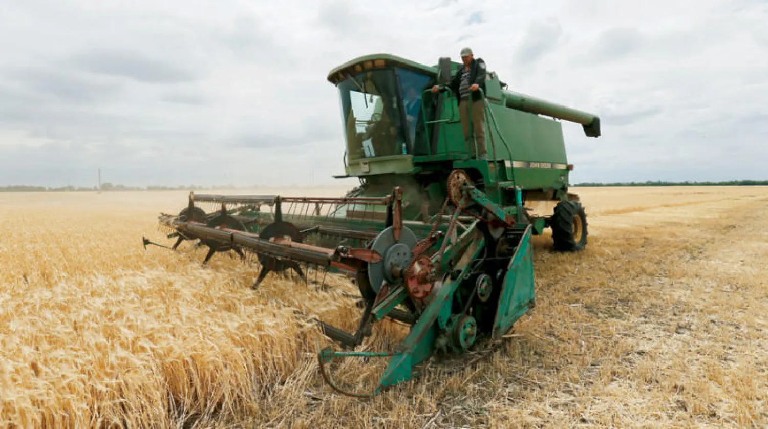 مزارعون يحصدون حبوبا في منطقة أوديسا في 23 يونيو (إ.ب.أ)