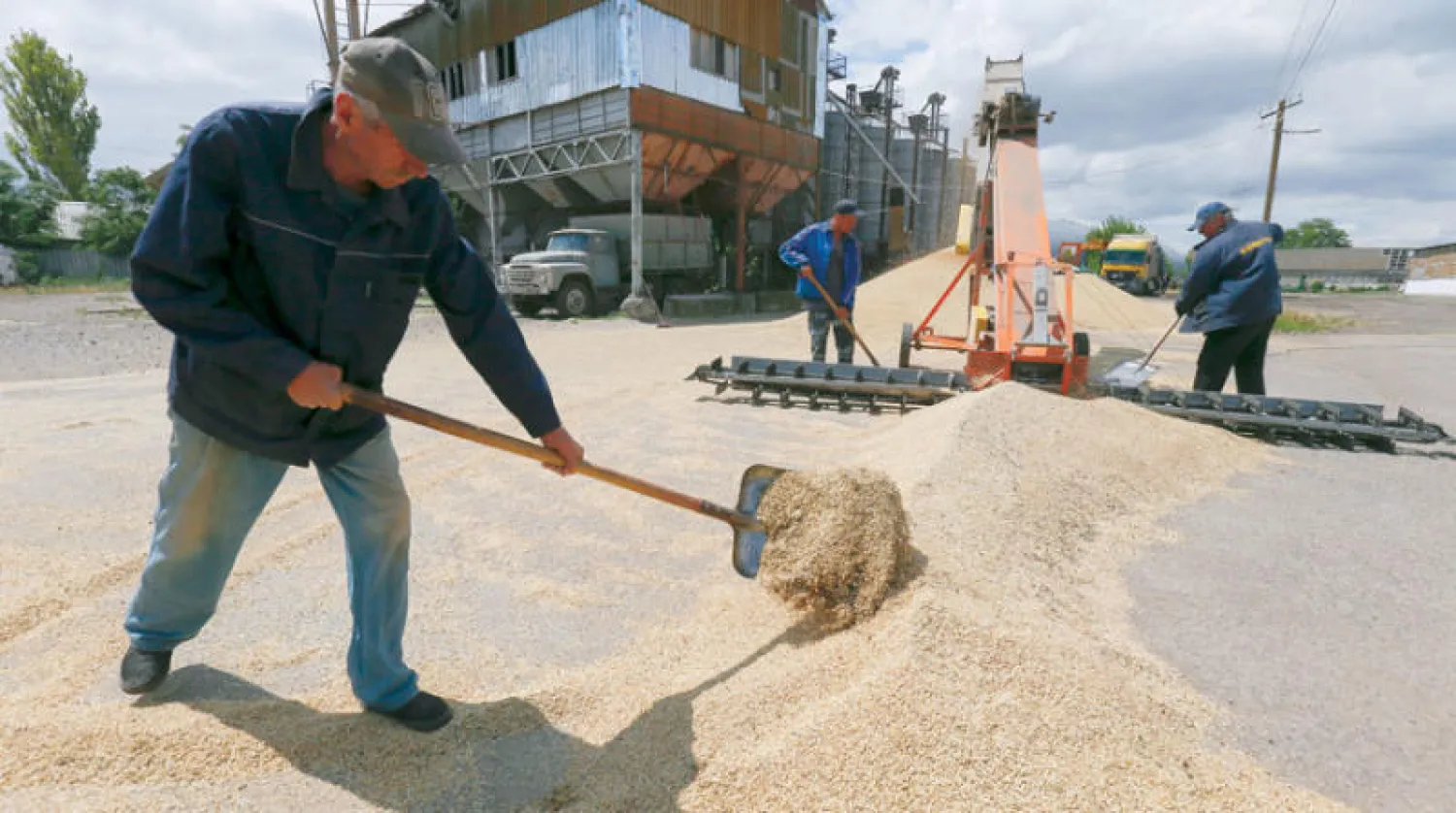مزارعون يجمعون محصول الحبوب في مزرعة بمنطقة أوديسا، في 23 يونيو (إ.ب.أ)