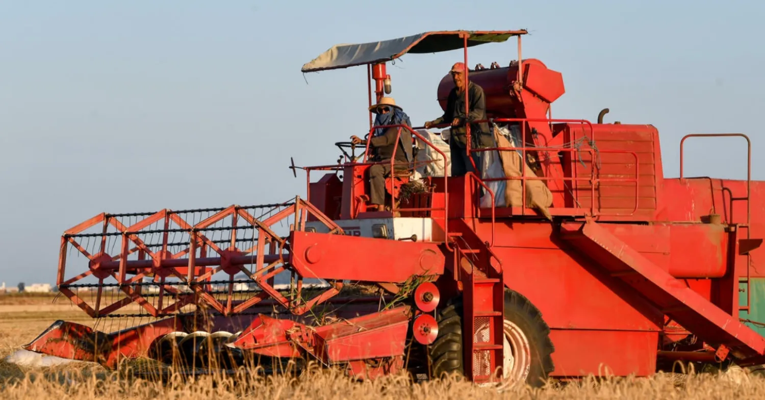 A farmer drives a harvester through a wheat field in the Cebalet Ben Ammar region, north of the capital Tunis FETHI BELAID AFP
