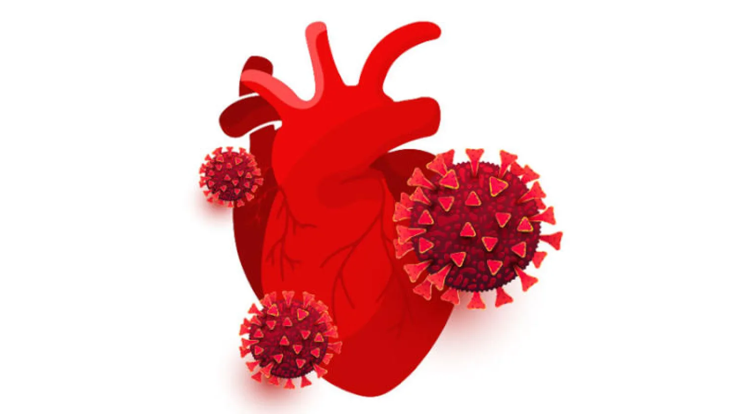 كيف يمكن لـ«كوفيد ـ 19» أن يضر بصحة قلبك؟