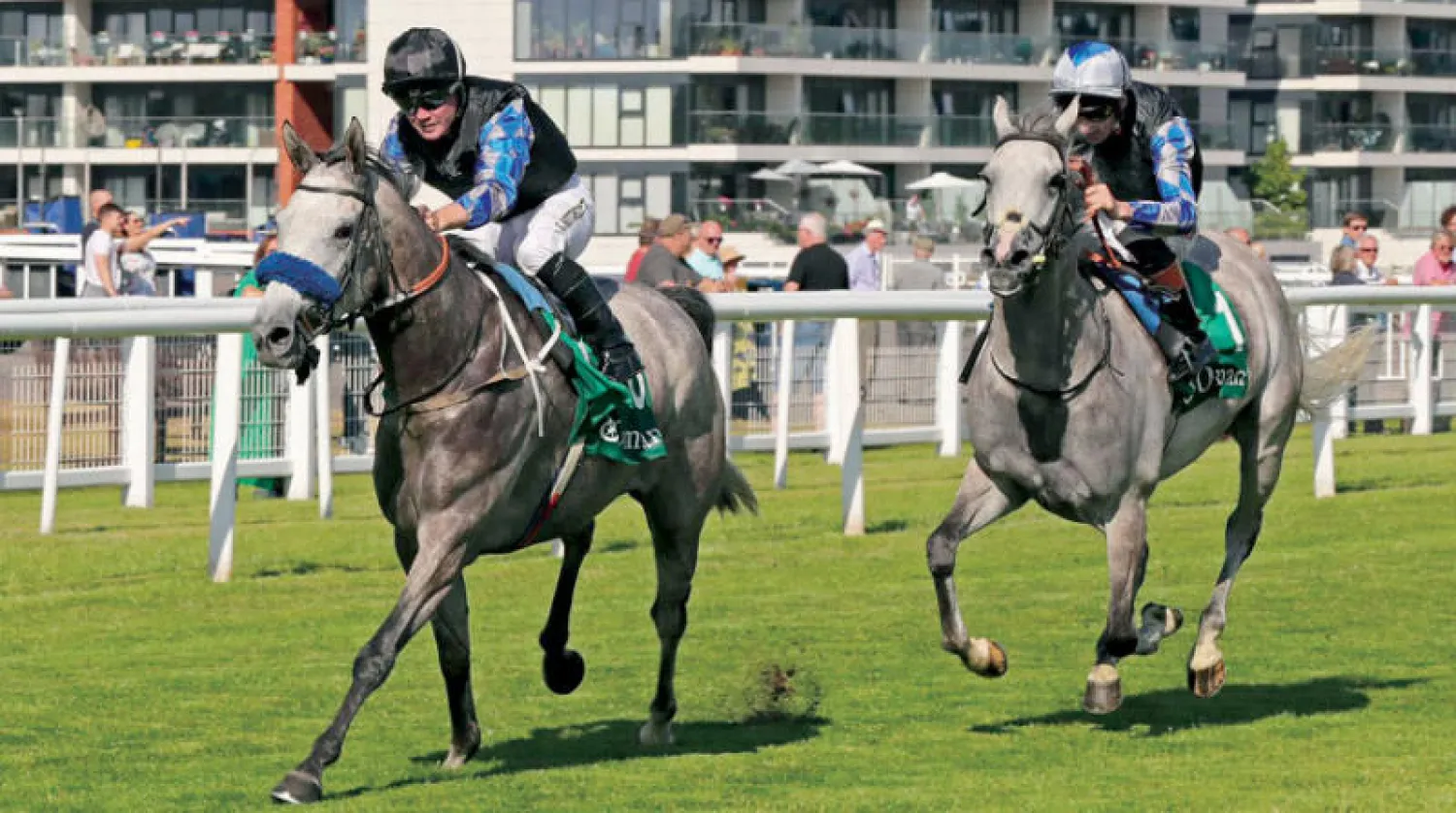 ميدان نيو بري في بريطانيا الذي جرى فيه الشوط المخصص للجياد العربية الأصيلة لمسافة 1200 متر