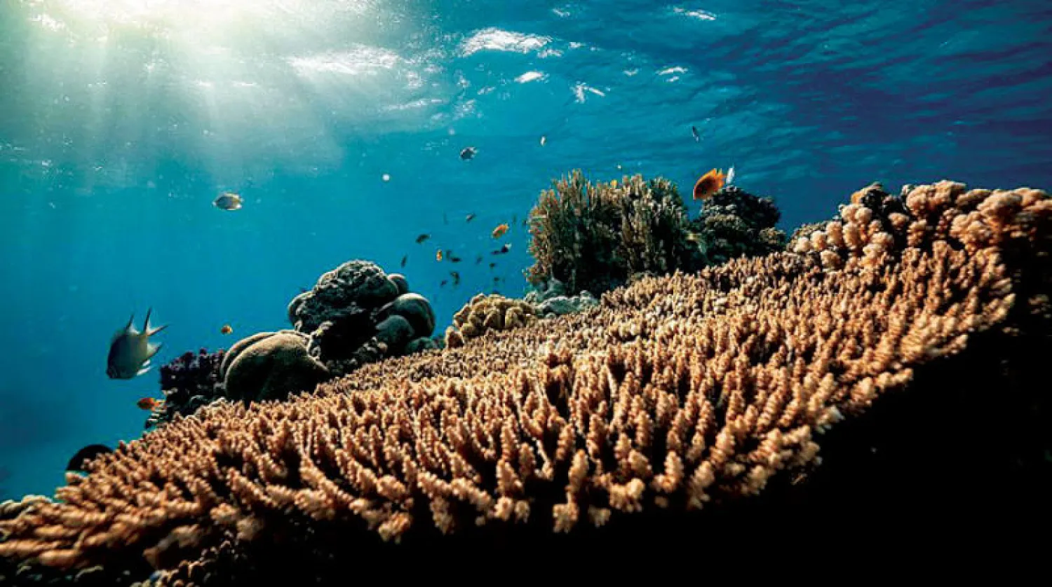 ازدياد الدعوات العالمية إلى تبني منتجات مالية تدعم استدامة البحار والمحيطات (الشرق الأوسط)