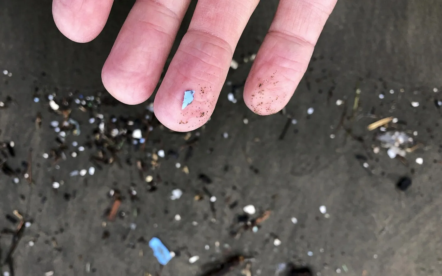 This illustrative photo from January 19, 2020, shows microplastic debris that has washed up at Depoe Bay, Oregon. (AP)