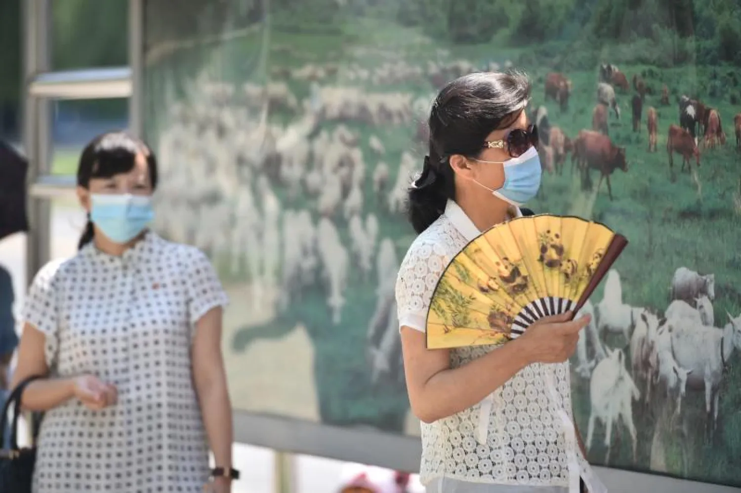 امرأة تستخدم مروحة يدوية خلال الطقس الحار في بيونغ يانغ (أ.ف.ب)