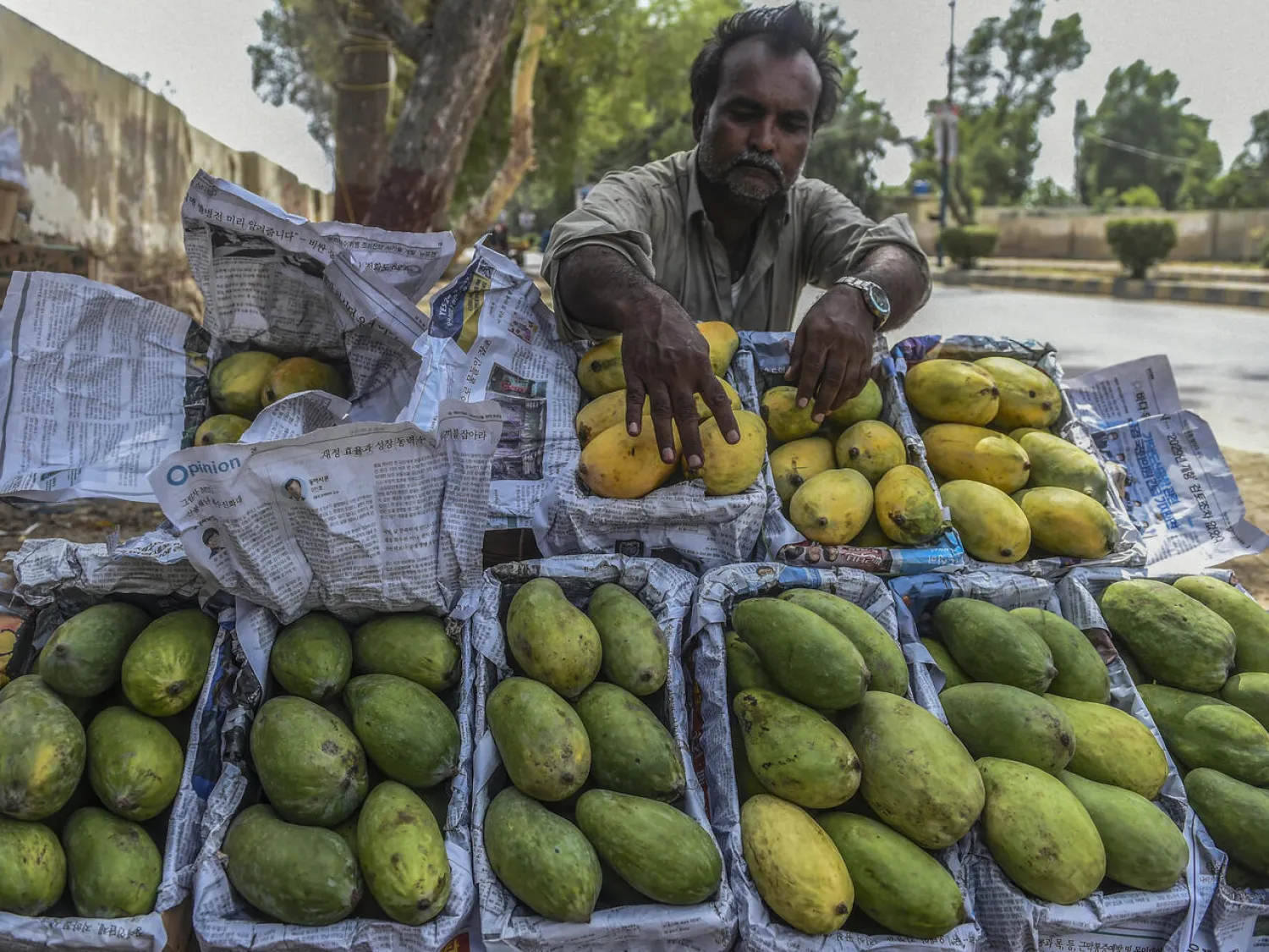 The arrival of mango season in Pakistan is eagerly anticipated Rizwan TABASSUM AFP
