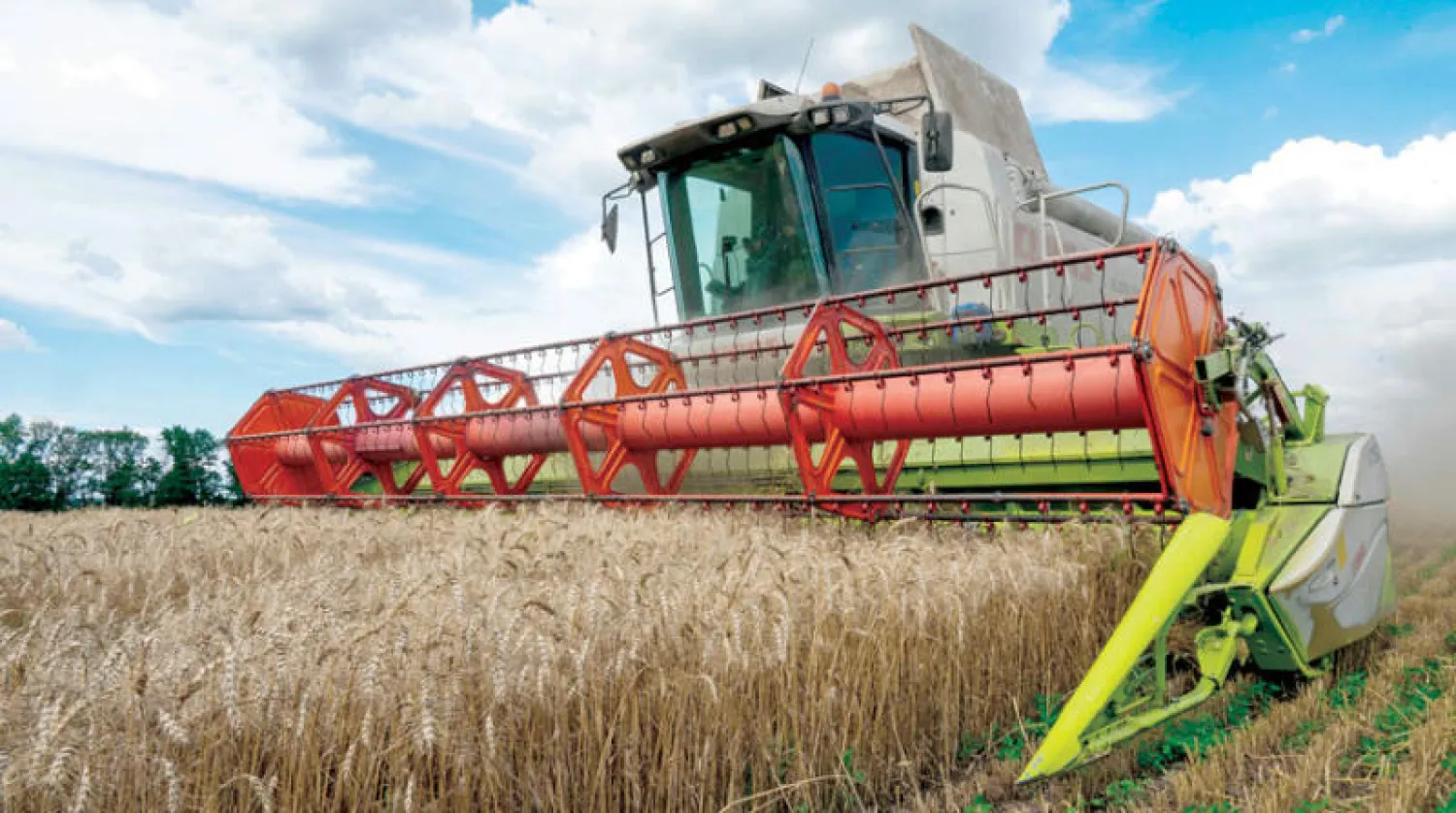 بوتين يربط تصدير الحبوب برفع كلّ القيود الغربية (أ.ف.ب)