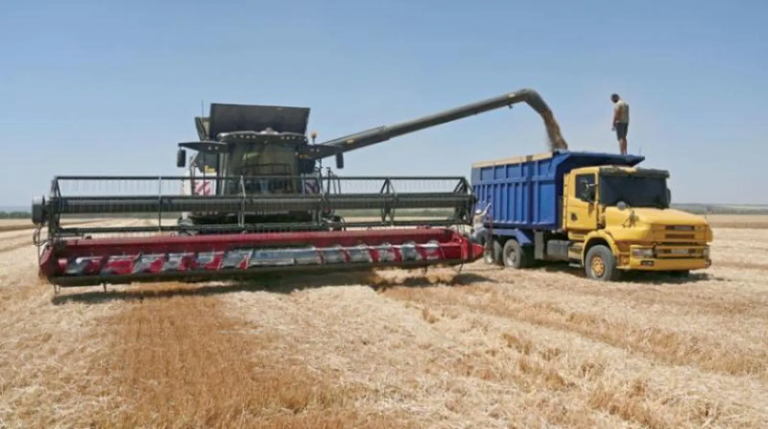 حقل قمح في أوكرانيا (رويترز)