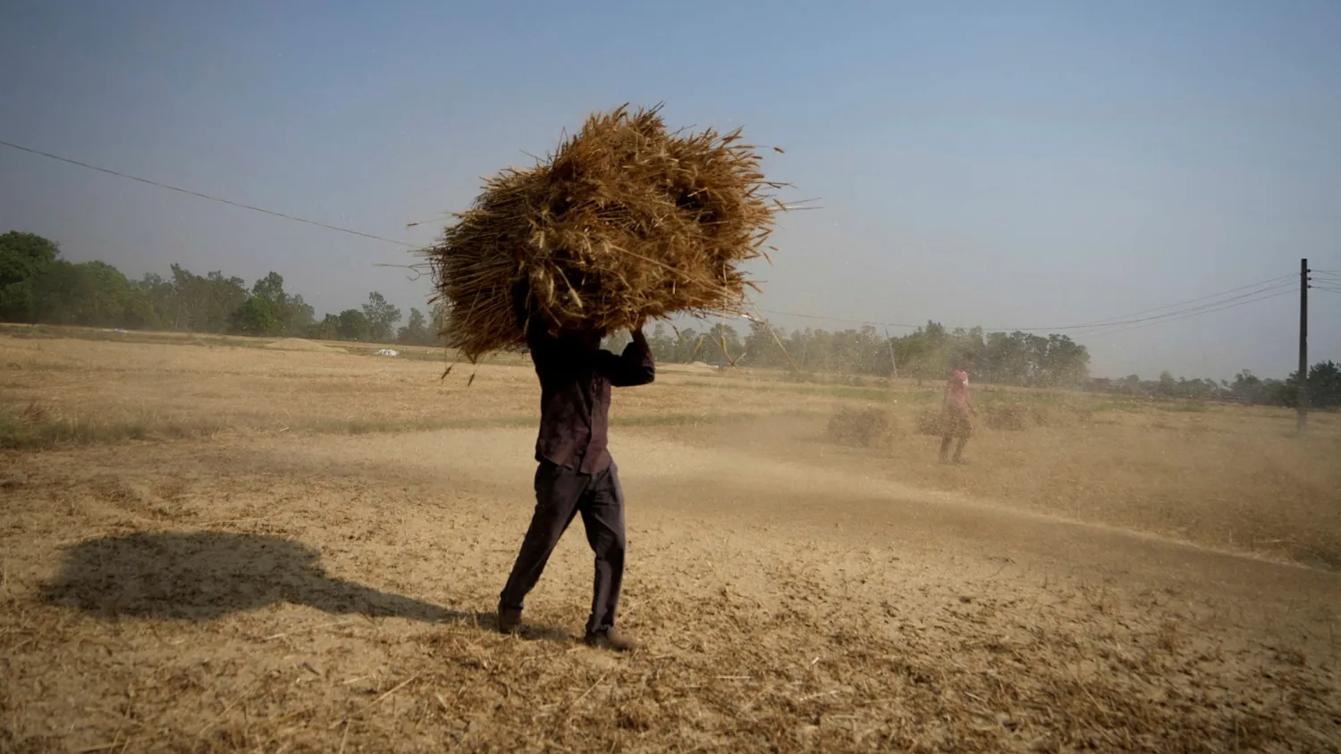 Analysts said the developing world would probably be hit the hardest by India’s ban on wheat exports. Channi Anand/AP
