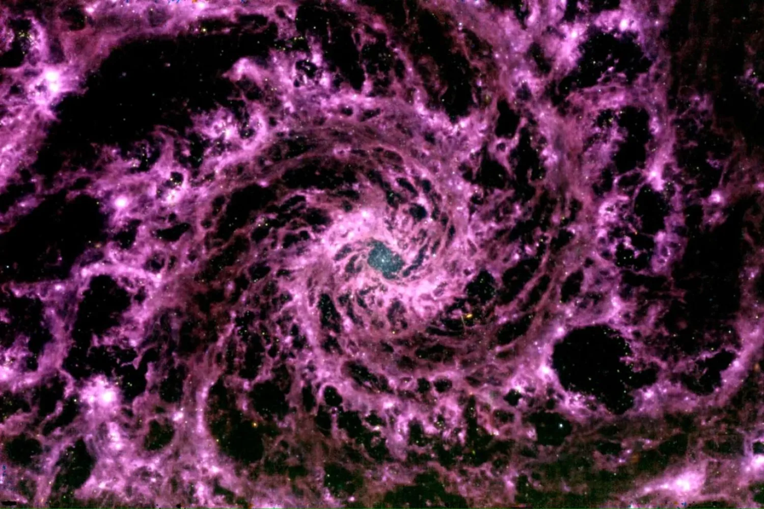 James Webb Uzay Teleskobu tarafından 17 Temmuz'da çekilen NGC 628 galaksisinin orta kızılötesi görüntüsü (Renk bileşimi, Gabriel Brammer (Kozmik Şafak Merkezi, Niels Bohr Enstitüsü, Kopenhag Üniversitesi); ham veri, Janice Lee ve diğerleri ve PHANGS-JWST işbirliği)